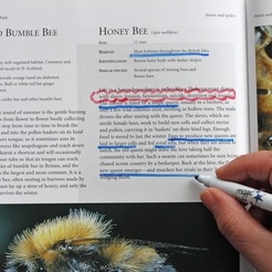 Dragons Den original & best clear magic sticky notes